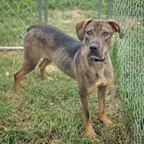 Thumbnail photo of Jamie #2