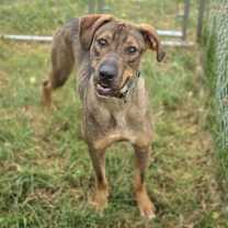 Thumbnail photo of Jamie #3