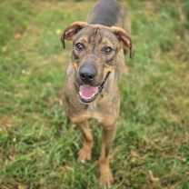 Thumbnail photo of Jamie #4