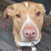 Thumbnail photo of Herbie #2