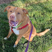 Thumbnail photo of Herbie #3