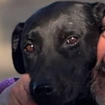 Thumbnail photo of Roxy #1