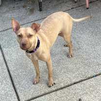 Thumbnail photo of Paige #2