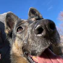 Thumbnail photo of THEENA #1