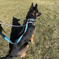 Thumbnail photo of THEENA #2