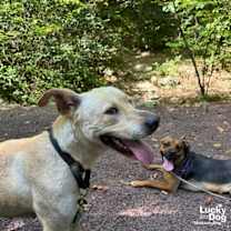 Thumbnail photo of Cloverleaf #2