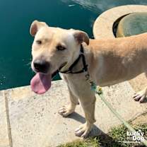 Thumbnail photo of Cloverleaf #3