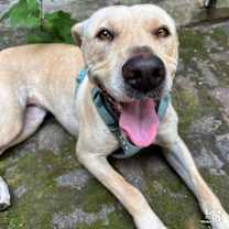 Thumbnail photo of Cloverleaf #4