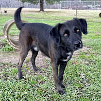 Thumbnail photo of Steve #1