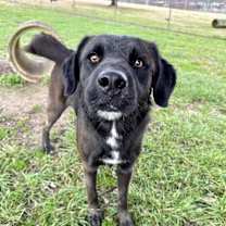 Thumbnail photo of Steve #2