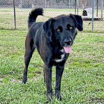 Thumbnail photo of Steve #3