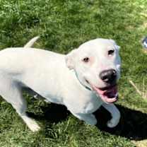 Thumbnail photo of Chase #2