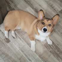 Thumbnail photo of Warren #2