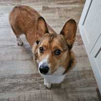 Thumbnail photo of Warren #4