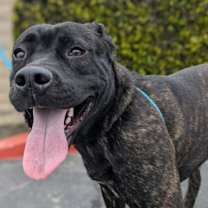 Thumbnail photo of TANNER #1