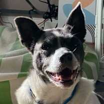 Thumbnail photo of Shadow ~ #2