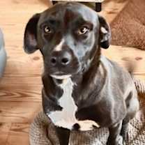 Thumbnail photo of Clint #1