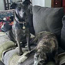 Thumbnail photo of Remi - MA #2