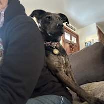 Thumbnail photo of Remi - MA #4