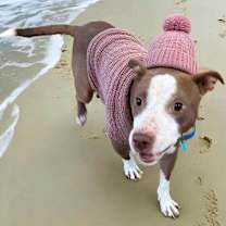 Thumbnail photo of Drako #3