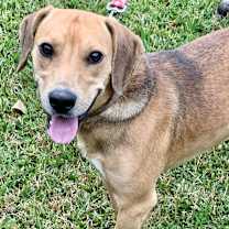 Thumbnail photo of Oh Henry #1