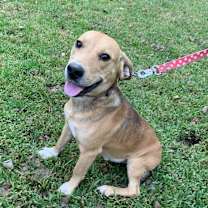 Thumbnail photo of Oh Henry #2