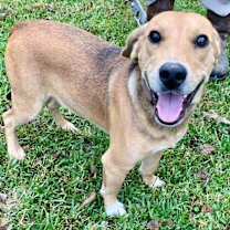 Thumbnail photo of Oh Henry #3