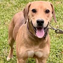 Thumbnail photo of Oh Henry #4