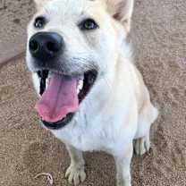 Thumbnail photo of TENOR & BASS #3