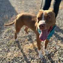 Thumbnail photo of OTIS #1