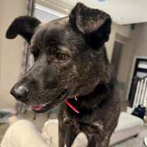 Thumbnail photo of Kylie #1