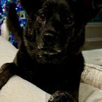 Thumbnail photo of Kylie #2