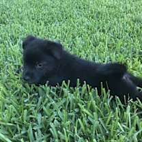 Thumbnail photo of Kylie #4