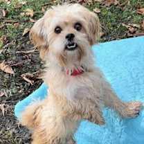 Thumbnail photo of Vincent & Randall #3