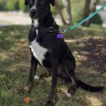 Thumbnail photo of Eichel #2