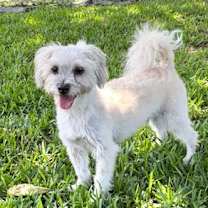 Thumbnail photo of Rocky Wynn #2