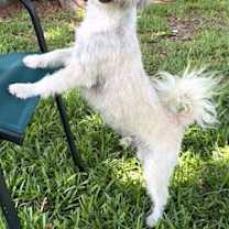 Thumbnail photo of Rocky Wynn #3