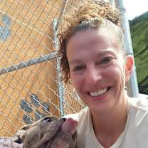 Thumbnail photo of Pebbles #4