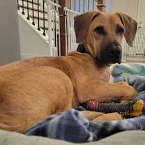 Thumbnail photo of Herman #1