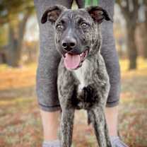 Thumbnail photo of George Clooney #2