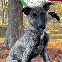 Thumbnail photo of George Clooney #3