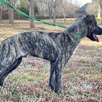 Thumbnail photo of George Clooney #4