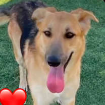 Thumbnail photo of Betty #1