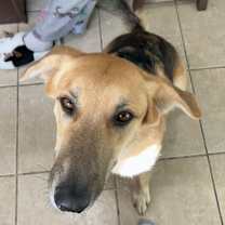 Thumbnail photo of Betty #4