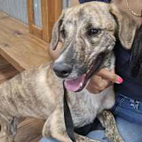 Thumbnail photo of Glen (TX) #1