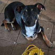 Thumbnail photo of Stew #1