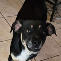 Thumbnail photo of Stew #3