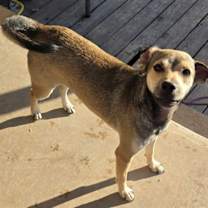 Thumbnail photo of Albert #2