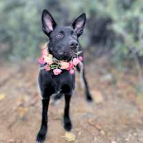 Thumbnail photo of Seasons #1