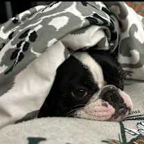 Thumbnail photo of Penny #3